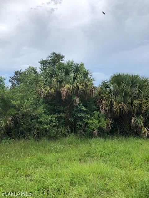 1010 Northside Rd, Moore Haven FL, 33471 land for sale