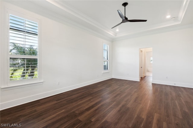 spare room with a healthy amount of sunlight, a raised ceiling, and crown molding