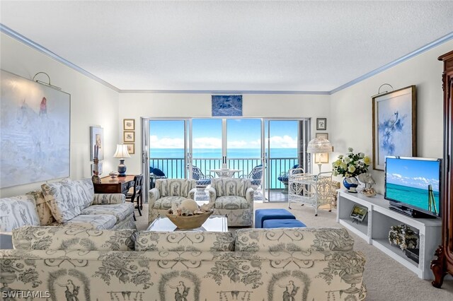 carpeted living room with a textured ceiling and crown molding