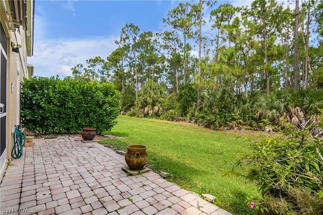 view of yard featuring a patio area