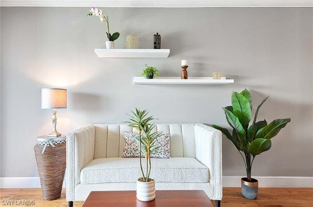 living area featuring wood-type flooring