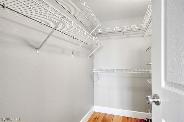 walk in closet with hardwood / wood-style flooring