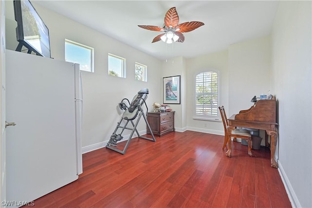 office space featuring dark hardwood / wood-style flooring and ceiling fan