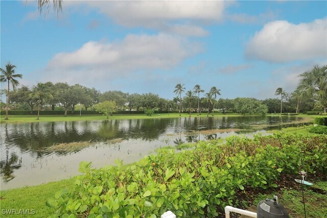 view of water feature