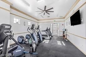 exercise room featuring crown molding and ceiling fan