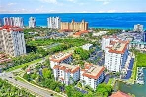 aerial view with a water view