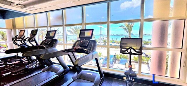 workout area featuring plenty of natural light