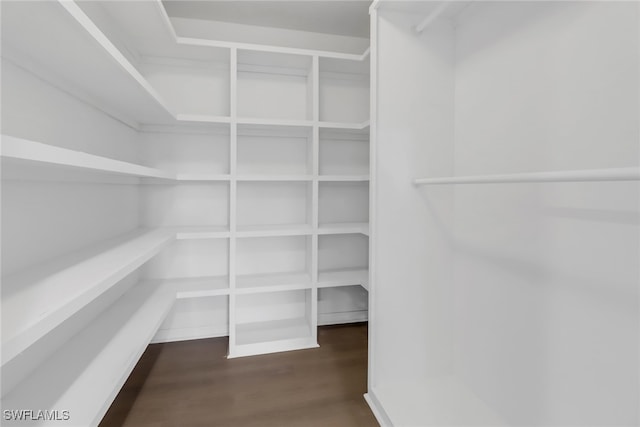 walk in closet with hardwood / wood-style floors