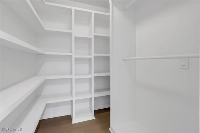 walk in closet featuring dark wood-type flooring