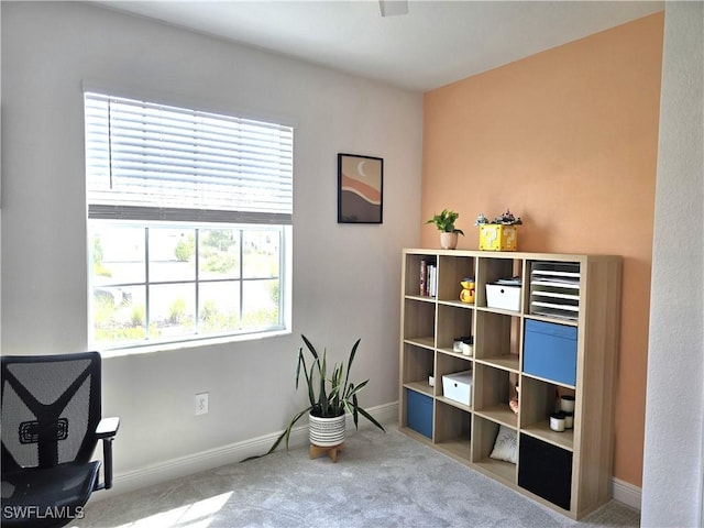 living area featuring light colored carpet