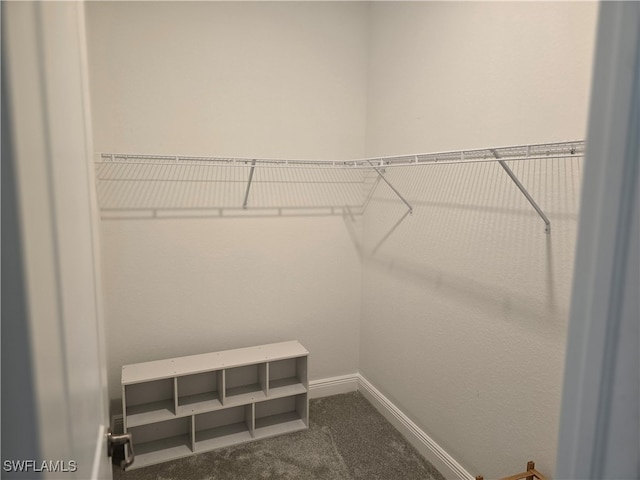 walk in closet featuring carpet