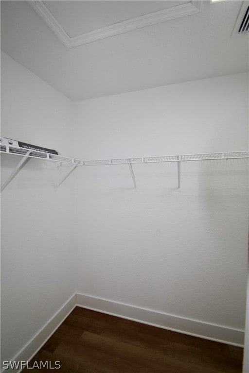 spacious closet featuring wood-type flooring