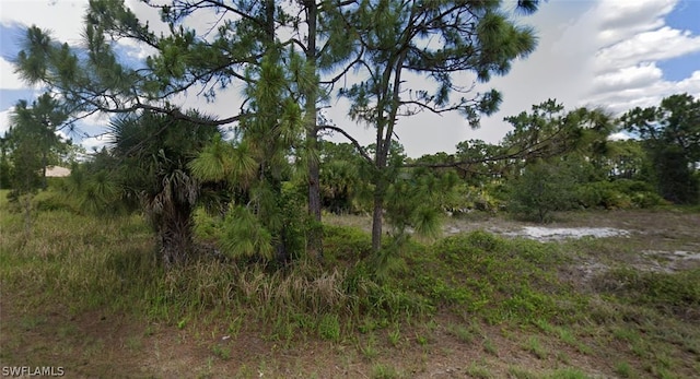 737 Avondale St E, Lehigh Acres FL, 33974 land for sale