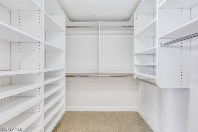 spacious closet with light colored carpet