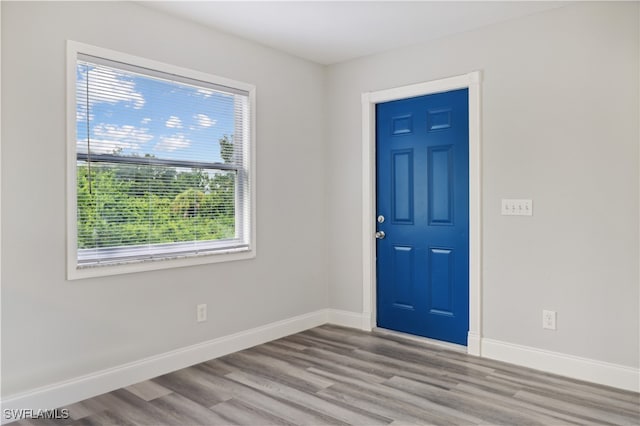 foyer entrance featuring light hardwood / wood-style flooring and plenty of natural light