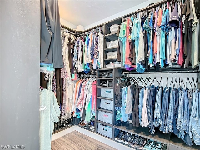 walk in closet featuring wood-type flooring