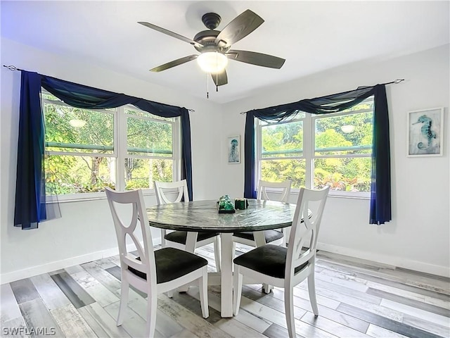 dining space with ceiling fan and light wood-type flooring