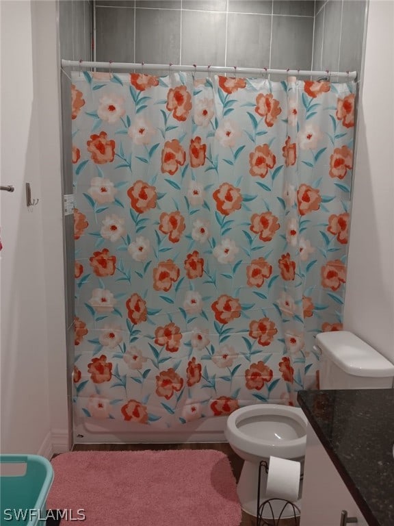 bathroom with vanity and toilet