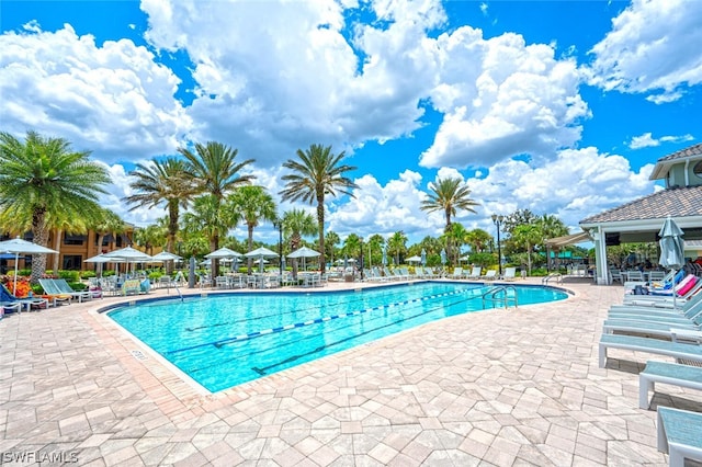 view of swimming pool featuring a patio