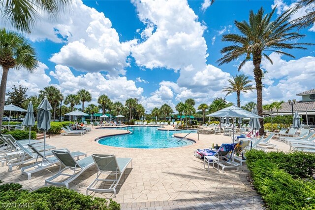 view of pool with a patio area