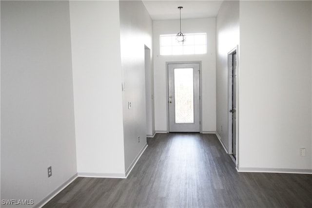 entryway featuring dark wood-type flooring and a high ceiling