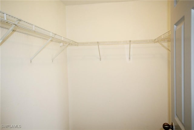 view of spacious closet