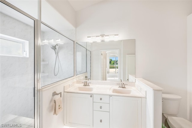 bathroom featuring vanity, toilet, and a shower with door