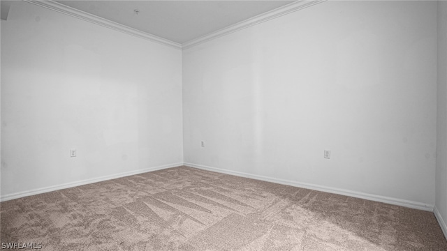 unfurnished room featuring ornamental molding and carpet flooring