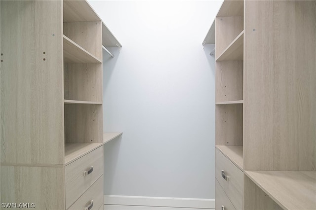 view of walk in closet