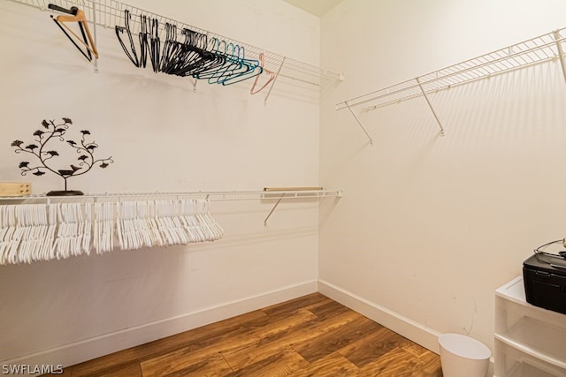 walk in closet featuring hardwood / wood-style flooring