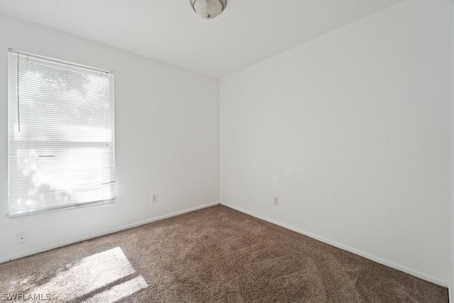 spare room with carpet