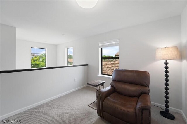 sitting room with carpet floors and baseboards