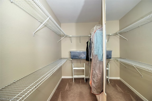 spacious closet featuring dark colored carpet