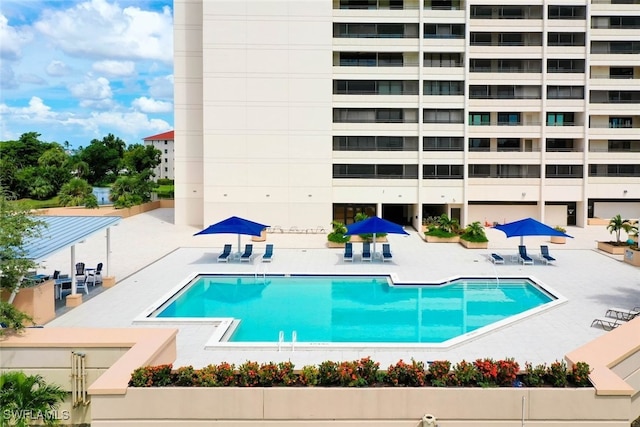 view of pool with a patio area