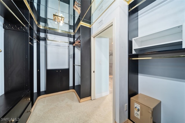 spacious closet featuring carpet