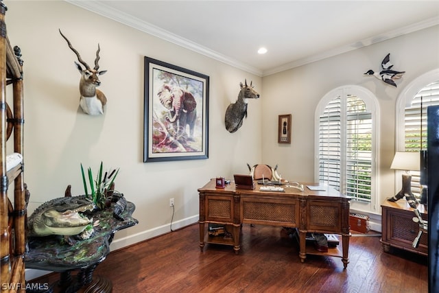 office with dark hardwood / wood-style floors and ornamental molding