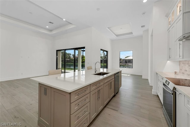 kitchen featuring sink, stainless steel appliances, a tray ceiling, light hardwood / wood-style floors, and an island with sink