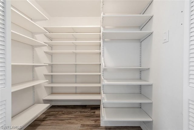 spacious closet with wood-type flooring