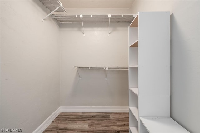 walk in closet featuring wood-type flooring