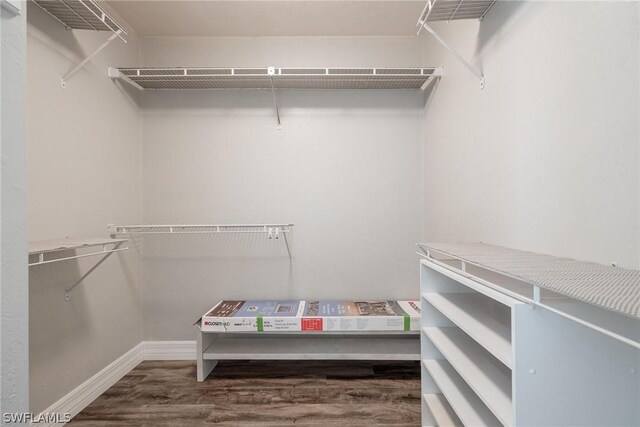 spacious closet featuring hardwood / wood-style floors