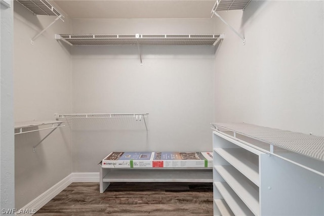 spacious closet with wood-type flooring