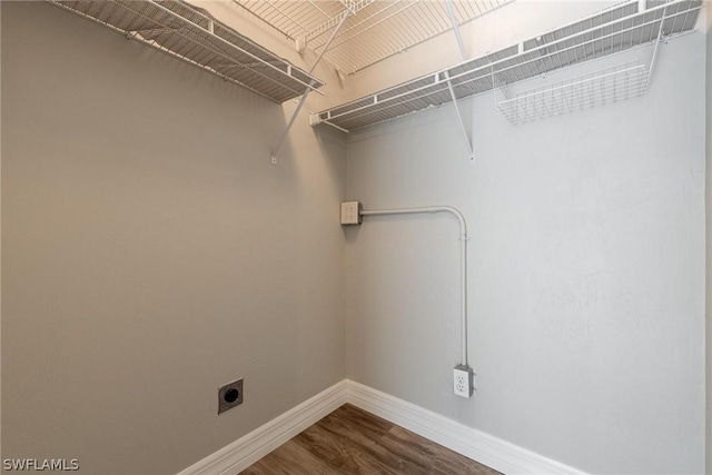 laundry area featuring electric dryer hookup and wood-type flooring