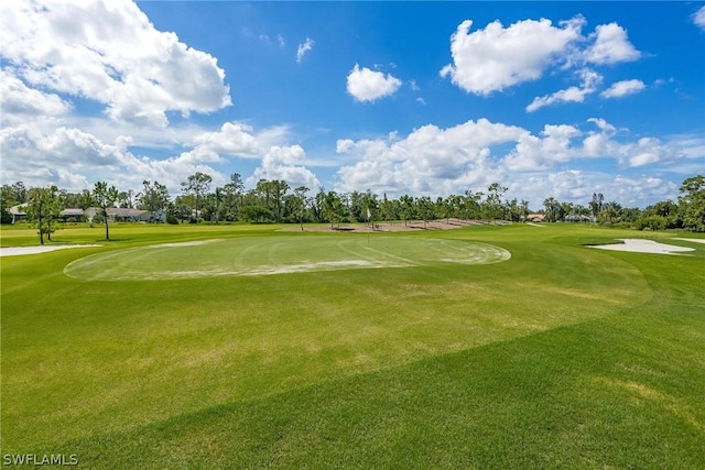 view of community with a lawn