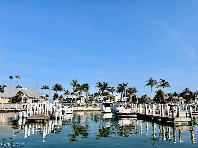 dock area with a water view