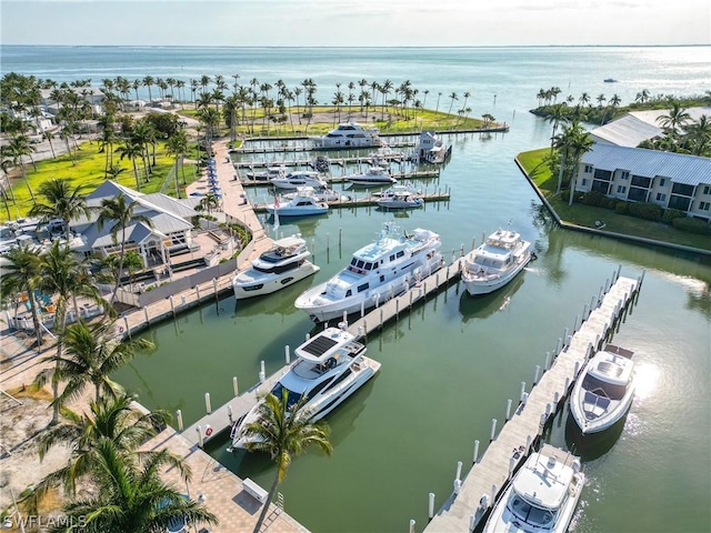 bird's eye view with a water view