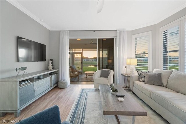 living room with ceiling fan, a wealth of natural light, light hardwood / wood-style flooring, and crown molding