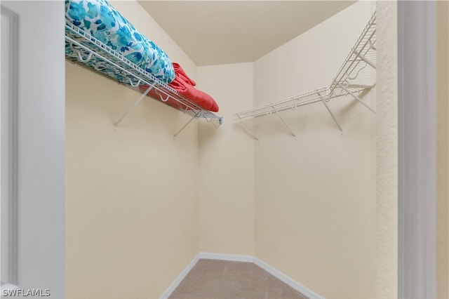 walk in closet featuring carpet