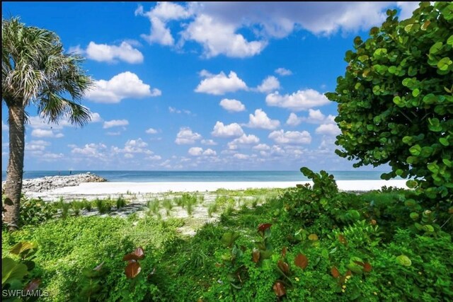 water view featuring a beach view