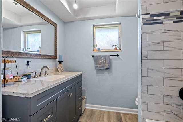 bathroom featuring vanity, hardwood / wood-style flooring, toilet, and a healthy amount of sunlight