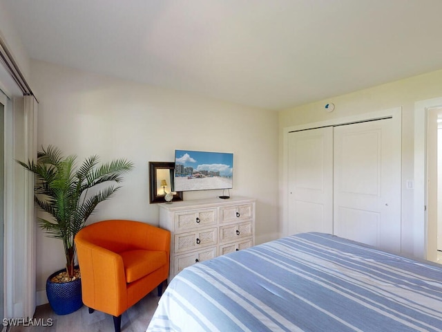 bedroom featuring a closet and hardwood / wood-style floors